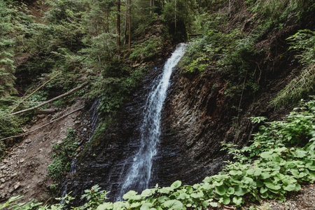 Waterfall mountain landscape in The Carpathians, Ukraineの写真素材