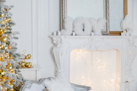 Interior with fireplace and Christmas treeの写真素材