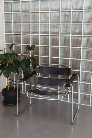 Modern interior design scene with a modern black chair on glass tiles wall with plantの写真素材