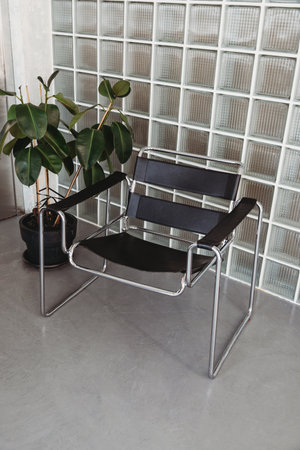 Modern interior design scene with a modern black chair on glass tiles wall with plantの写真素材