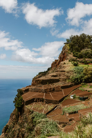 Aerial view of green terrace fields and the Atlantic ocean shore at Cabo Girao, Madeira island, Portugalの写真素材