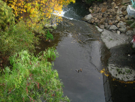 a view of the river at a parkの写真素材