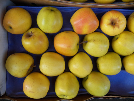 apples neatly laid in blue boxの写真素材