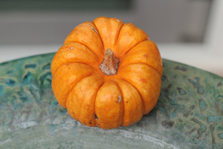 small pumpkin on plateの写真素材