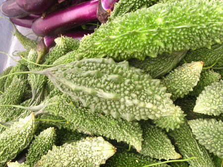 a pile of bitter melon at picnicの写真素材