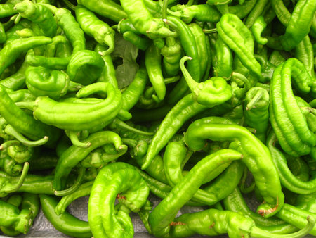 lots of curly peppersの写真素材