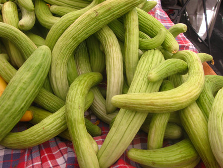 a pile of Armenian cucumbers on a tableclothの写真素材