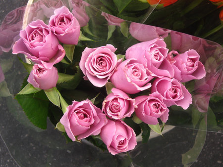 lavender bouquet of rosesの写真素材