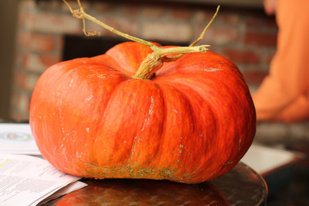 orange pumpkinの写真素材