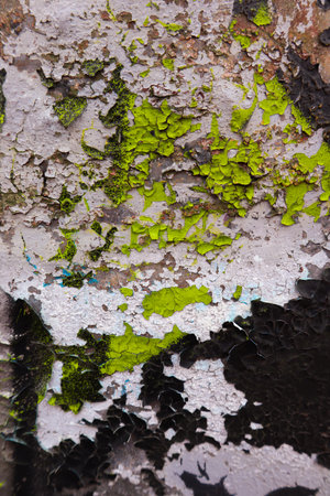 piece of iron with old colorの写真素材