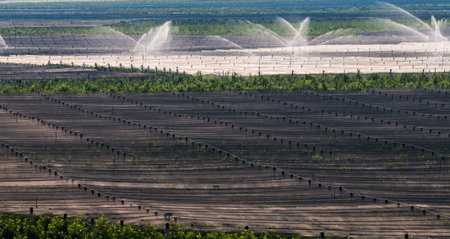 Watering apple orchards agriculture in northern Italyの写真素材