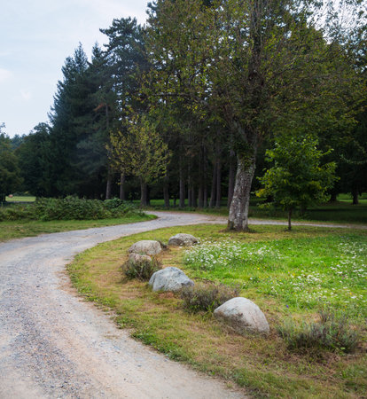 Beautiful pathway in the green S-shaped with stonesの写真素材