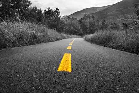 Paved cycle lane with yellow path - far destinationの写真素材