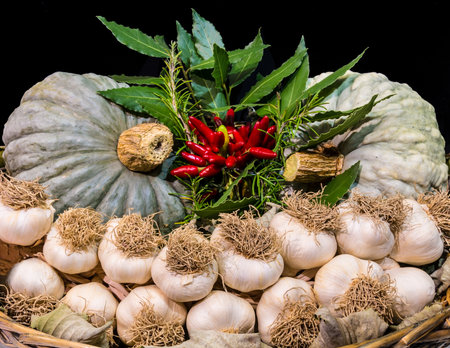 Garlic and other typical autumn vegetables in a basketの写真素材