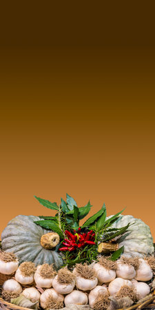Garlic and other typical autumn vegetables in a basket. Copyspaceの写真素材