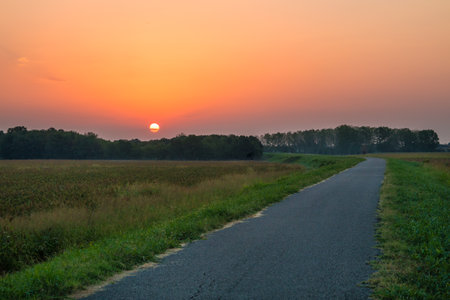 Beautiful sunrise captured during a morning walk. Countryside place in Po Valley (Italy)の写真素材