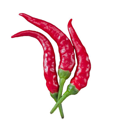 3 beautiful red chili flame-shaped peppers on white backgroundの写真素材