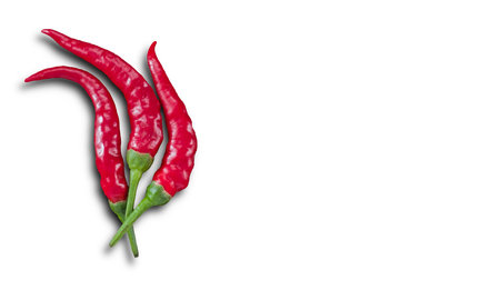 Chilies with shadow on a white background and copy spaceの写真素材