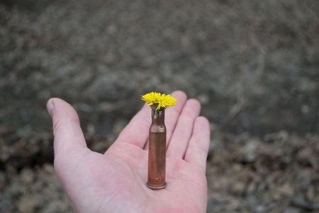 Flower in the cartridge-case. Starting a new life.