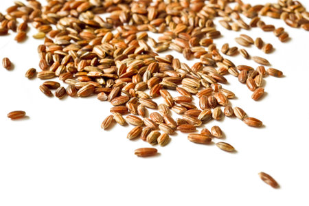 Brown rice with a nutty flavour on a white background.の写真素材