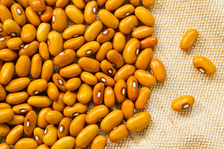 Dried beans on a burlap bagの写真素材