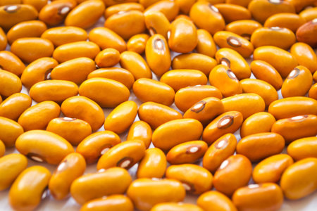 Dried orange beans on a tableの写真素材