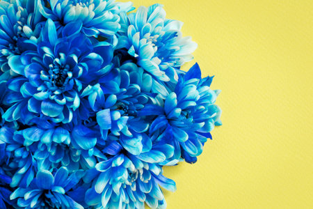 Vibrant floral backgroundの写真素材