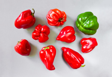 Colorful paprika pepperの写真素材