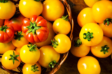 Colorful tomatoesの写真素材