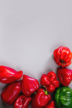 Colorful sweet peppers on grey background with copy spaceの写真素材