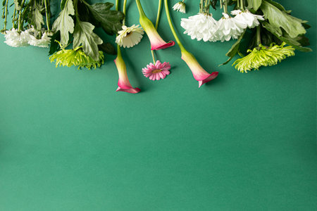 Different cut flowers lay on a green background. Suitable as a background for advertising layouts, banners, postcardsの写真素材