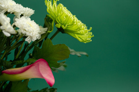 Different cut flowers lay on a green background. Suitable as a background for advertising layouts, banners, postcardsの写真素材