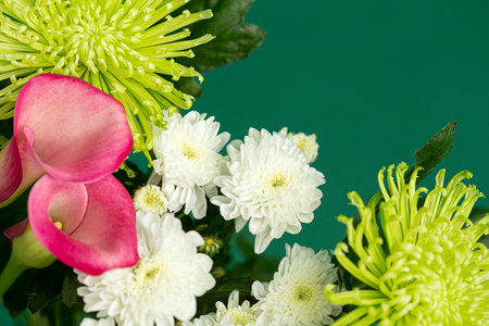 Different cut flowers lay on a green background. Suitable as a background for advertising layouts, banners, postcardsの写真素材