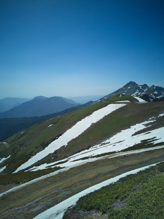 Alpine meadow with snow and clear blue sky in the mountainsの写真素材