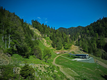 Summer in the Alpsの写真素材