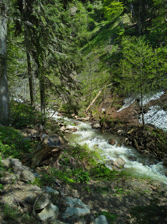 Mountain stream in the mountainsの写真素材