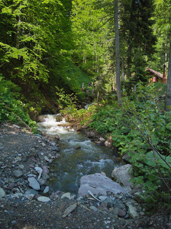 Mountain river in the Carpathian Mountains.の写真素材