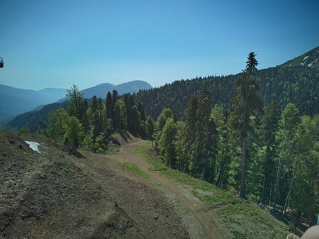 The road to the top of the mountain with coniferous forestの写真素材