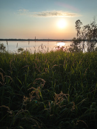 Sunset over the lake with reeds and grass in the foreground
