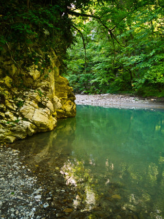 Mountain river with clear water in green forest. Nature composition.の写真素材