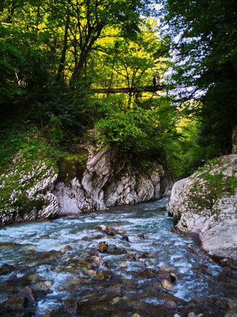 Mountain river in the forest. The concept of active and extreme tourismの写真素材