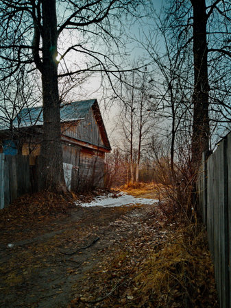 Abandoned wooden house in the village. Russiaの写真素材
