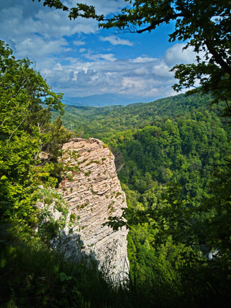 View from the top of the cliff to the valley in the forestの写真素材