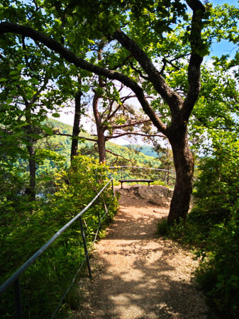 Hiking trail in the mountainsの写真素材