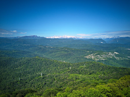 Mountain landscape with green forest and snow-capped peaks.の写真素材