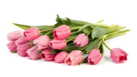Beautiful bouquet of pink tulips on white background symbolizing love, elegance, spring freshness, celebration, and romantic floral decoration.の素材