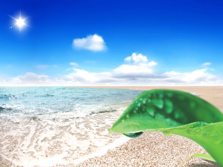 Shining sun on the seaside romantic backgroundの写真素材