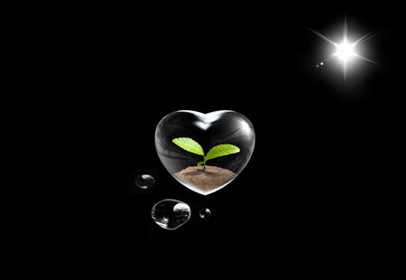 Beautiful heart with  a green plant in the nightの写真素材