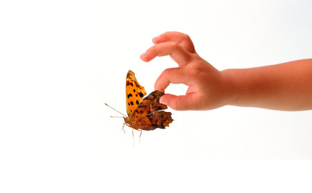 Beautiful butterfly and a baby's handの写真素材