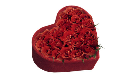 Red roses in the heart boxの写真素材